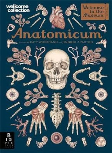 Anatomicum (Welcome To The Museum)