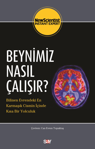 Beynimiz Nasıl Çalışır?