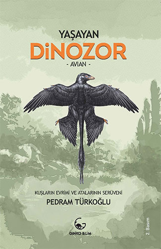 Yaşayan Dinozor - Avian