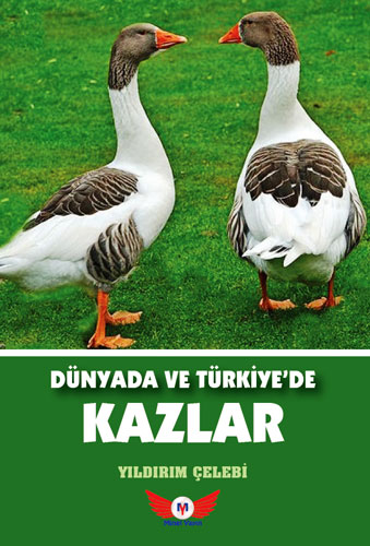 Dünyada Ve Türkiye'de Kazlar