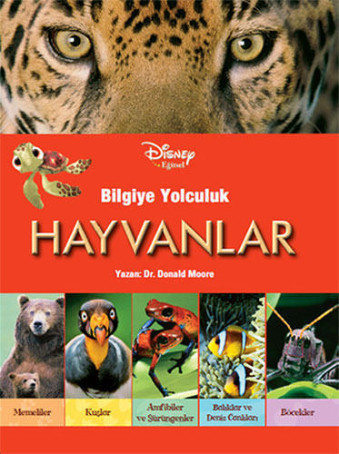 Bilgiye Yolculuk- Hayvanlar