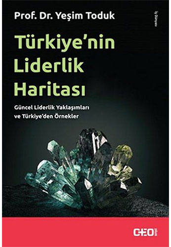 Türkiye'nin Liderlik Haritası