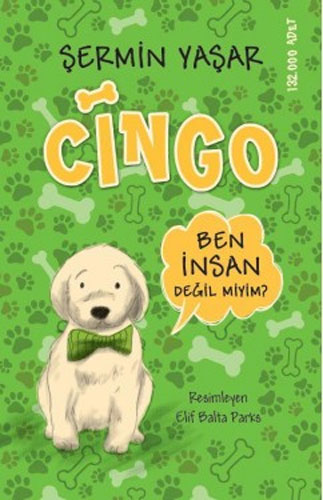 Cingo - Ben İnsan Değil miyim?