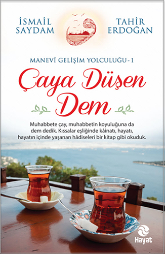 Çaya Düşen Dem