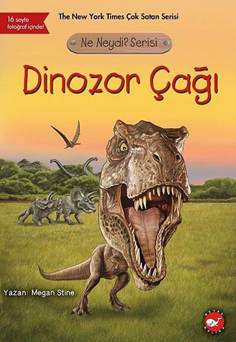 Dinozor Çağı