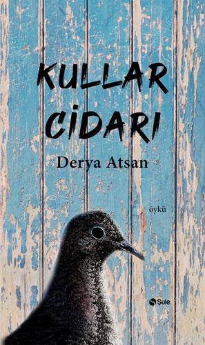 Kullar Cidarı