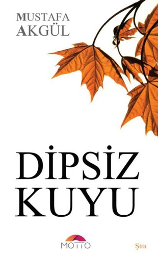 Dipsiz Kuyu