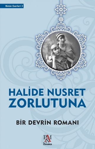 Bir Devrin Romanı