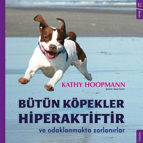 Bütün Köpekler Hiperaktiftir ve Odaklanmakta Zorlanırlar