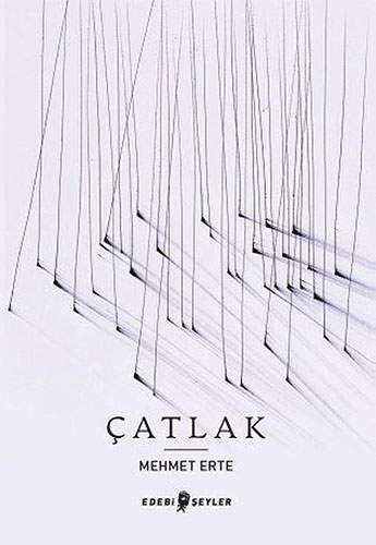 Çatlak