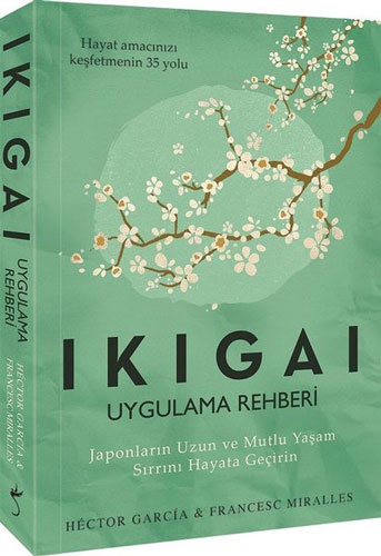 Ikigai - Uygulama Rehberi