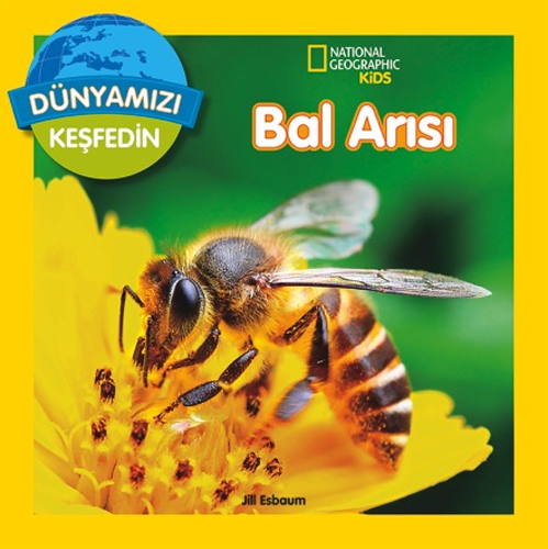 Bal Arıları