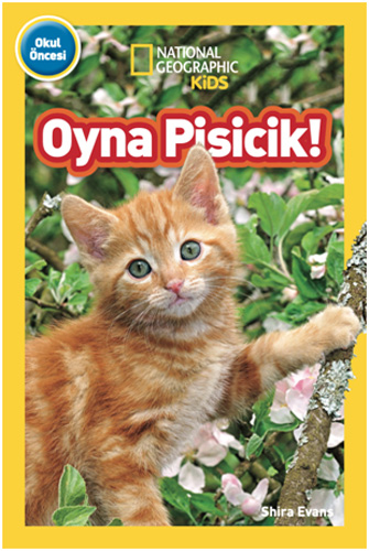 Oyna Pisicik!