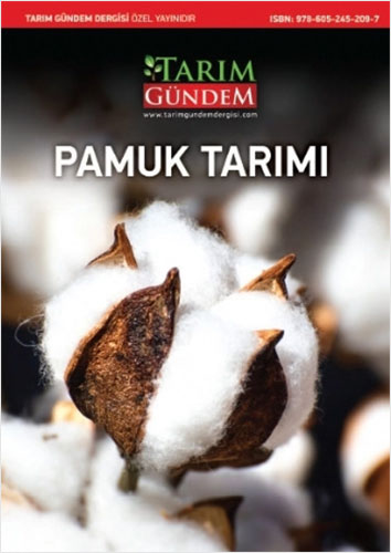 Pamuk Tarımı