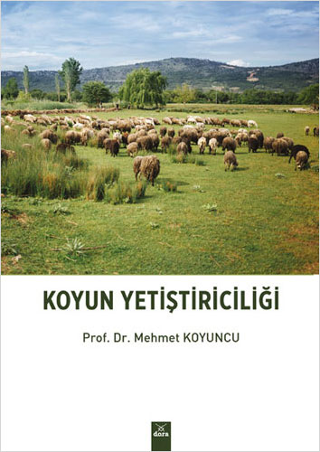 Koyun Yetiştiriciliği