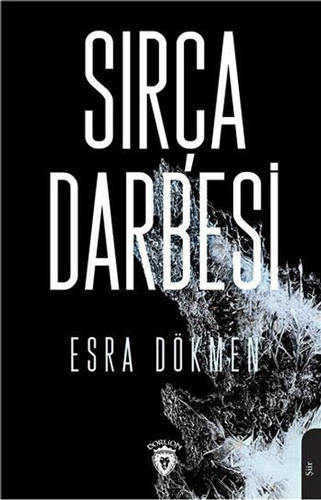 Sırça Darbesi