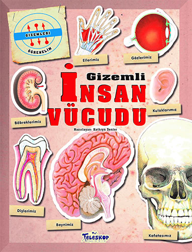 Gizemli İnsan Vücudu