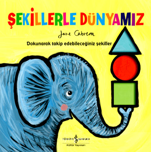 Şekillerle Dünyamız