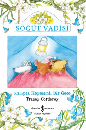 Söğüt Vadisi - Kampta Heyecanlı Bir Gece 