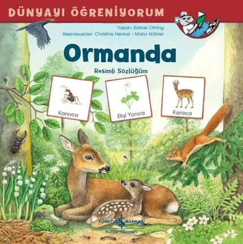 Ormanda