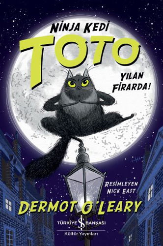 Ninja Kedi Toto