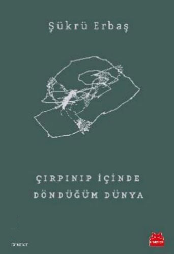 Çırpınıp İçinde Döndüğüm Dünya