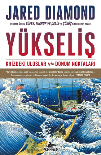 Yükseliş - Krizdeki Uluslar İçin Dönüm Noktaları (Ciltli) 