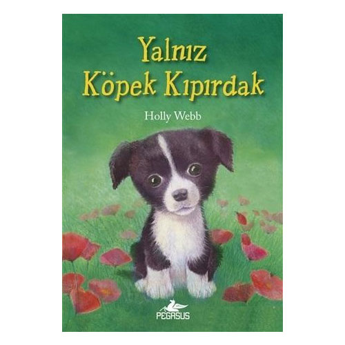 Yalnız Köpek Kıpırdak