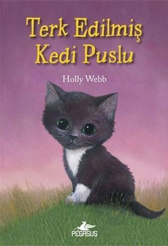 Terk Edilmiş Kedi Puslu