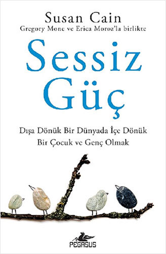 Sessiz Güç