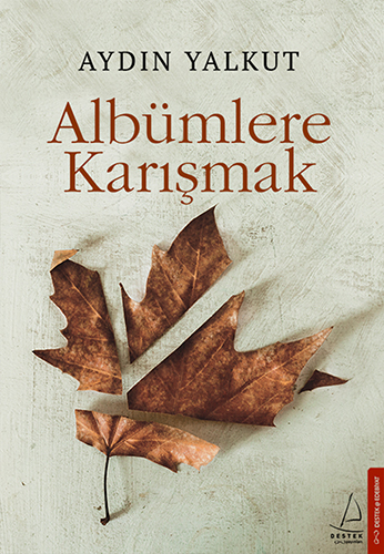 Albümlere Karışmak