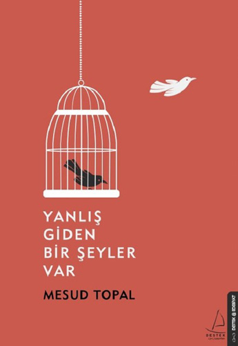 Yanlış Giden Bir Şeyler Var