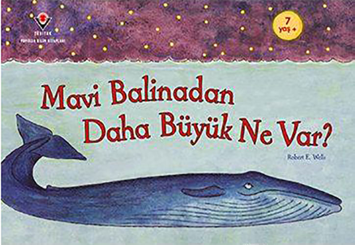 Mavi Balinadan Daha Büyük Ne Var?