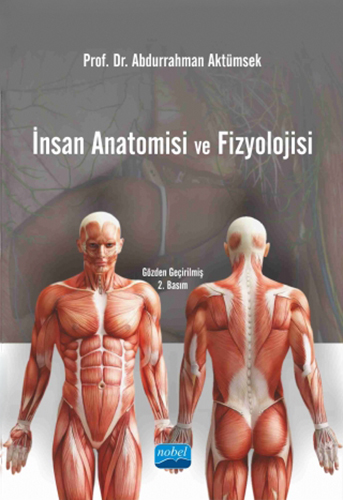 İnsan Anatomisi ve Fizyolojisi