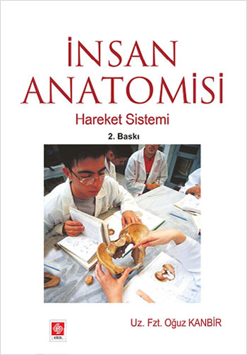 İnsan Anatomisi - Hareket Sistemi