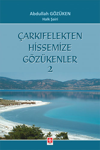 Çarkıfelekten Hissemize Gözükenler 2