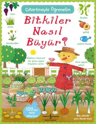 Bitkiler Nasıl Büyür