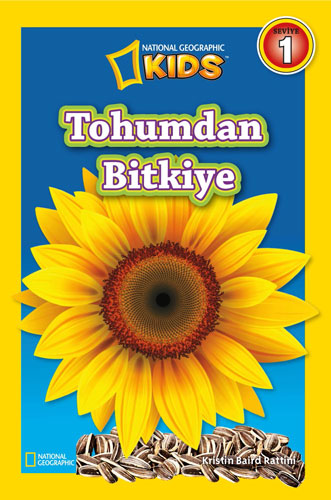 Tohumdan Bitkiye