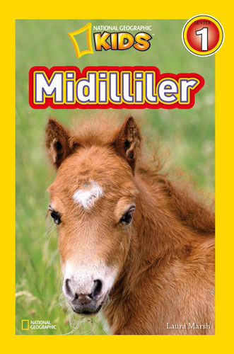 Midilliler