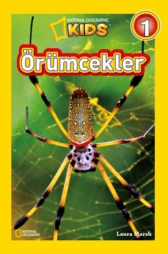 Örümcekler