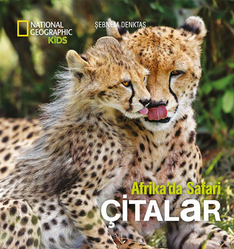 Afrika'da Safari: Çitalar - Ciltli