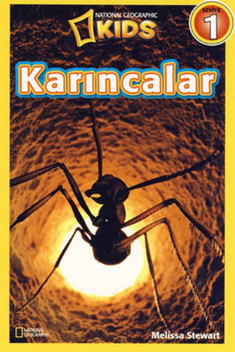 Karıncalar - Seviye 1