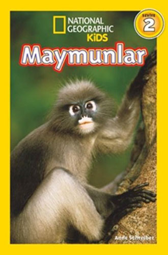 Maymunlar