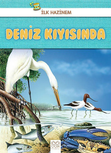 Deniz Kıyısında - İlk Hazinem