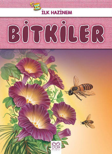 Bitkiler - İlk Hazinem