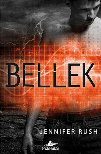 Bellek