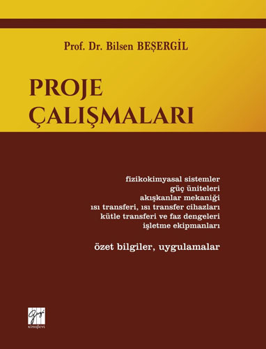 Proje Çalışmaları (Ciltli)