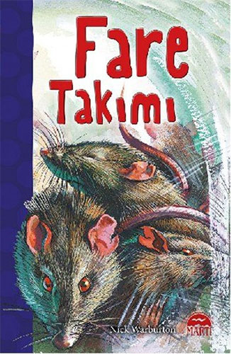 Fare Takımı