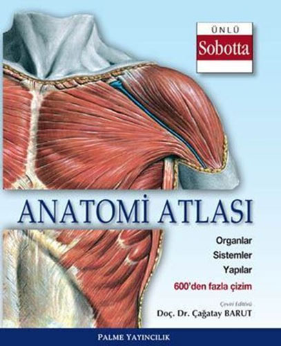 Anatomi Atlası (Sobotta Çizimleri)