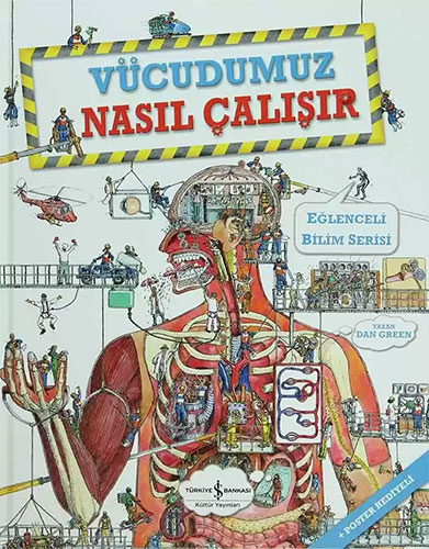 Vücudumuz Nasıl Çalışır